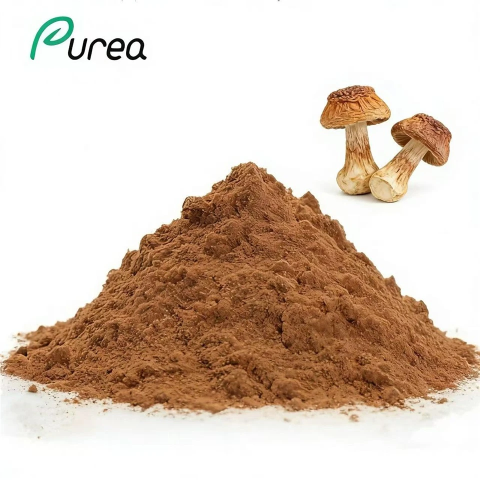 Agaricus Blazei ekstrakti pulber