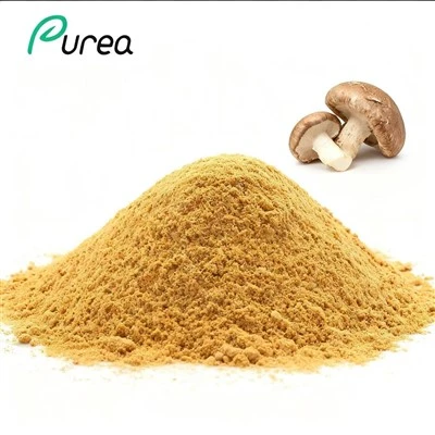 Shiitake seente ekstrakti pulber